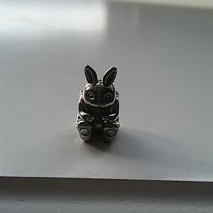 Pandora charm
